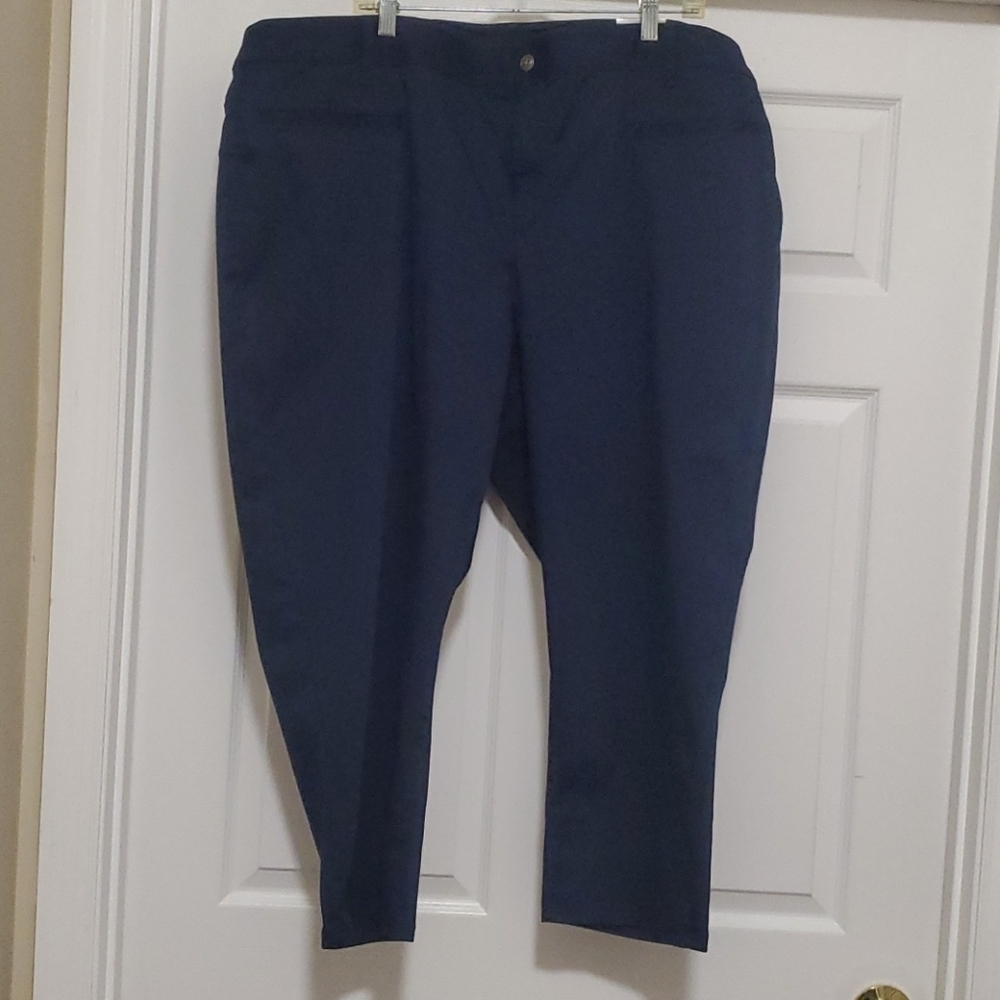 Lane Bryant blue cropped pants